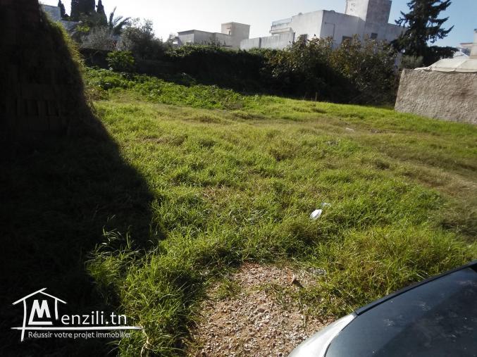 TERRAIN A VENDRE A KSAR SAID 2