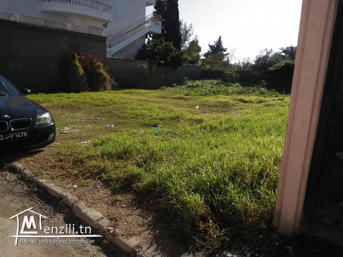 TERRAIN A VENDRE A KSAR SAID 2