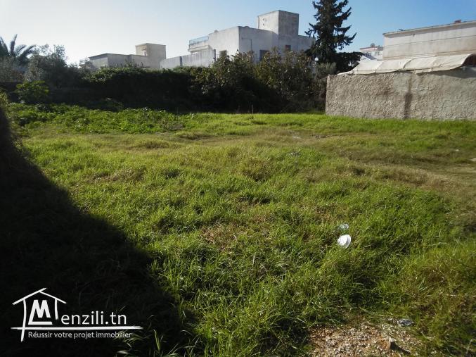 TERRAIN A VENDRE A KSAR SAID 2