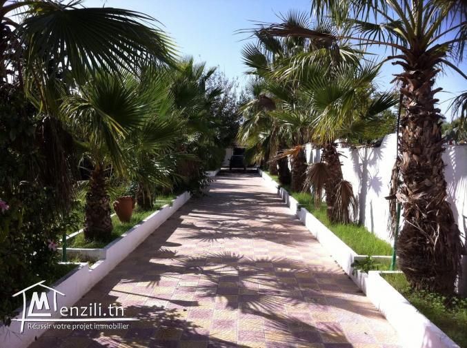 terrain nu 5363m2 avec maison