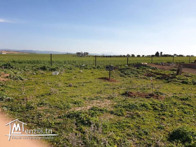 قطعة أرض للبيع في المحمدية مساحتها 215 م