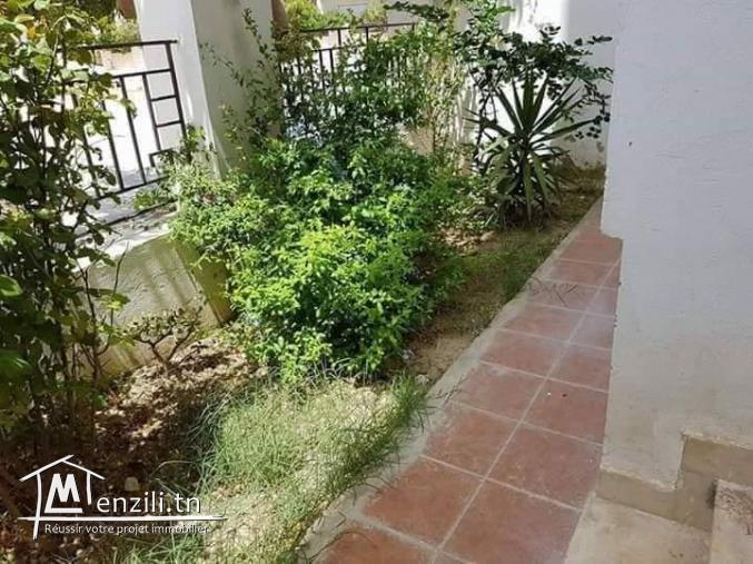 S + 1 ain zaghen nord