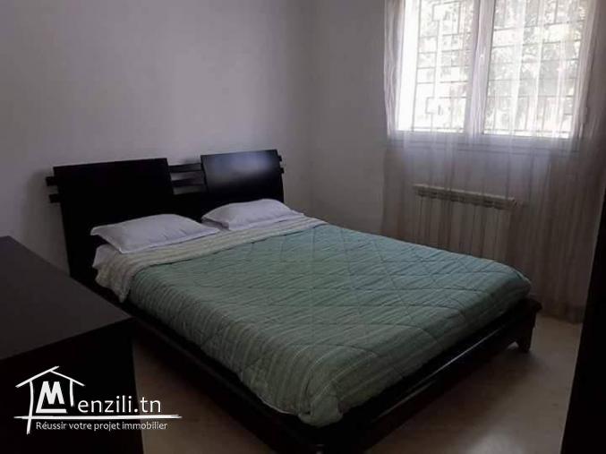 S + 1 ain zaghen nord