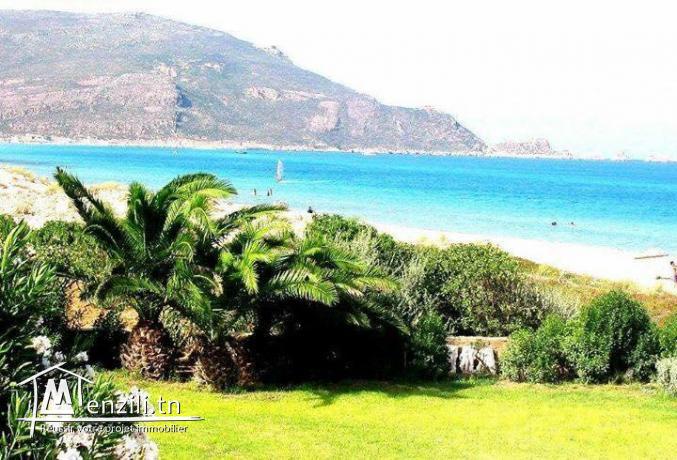 un terrain vue de mer à El Haouaria