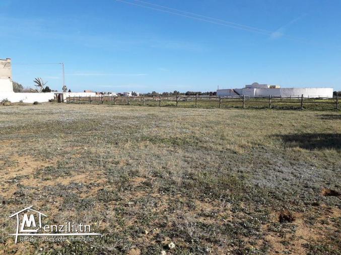 مبروك للّي شراو أراضيهم معانا : تنجم تولي ملاّك