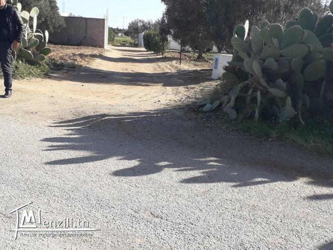 مبروك للّي شراو أراضيهم معانا : تنجم تولي ملاّك