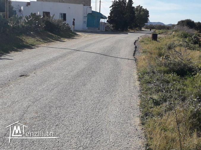 مبروك للّي شراو أراضيهم معانا : تنجم تولي ملاّك