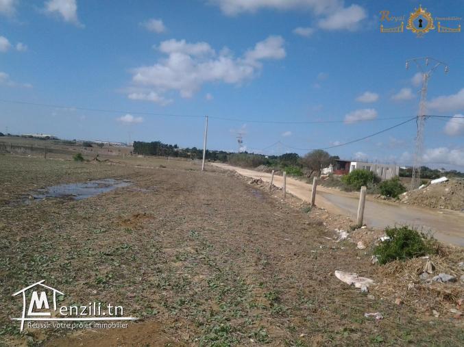 5 maisons à ain genz