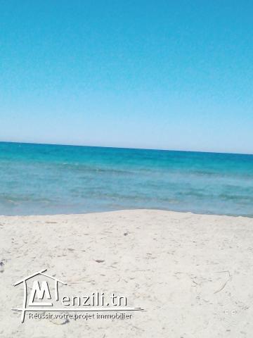 terrain a vendre d'une surface de 1000 m²