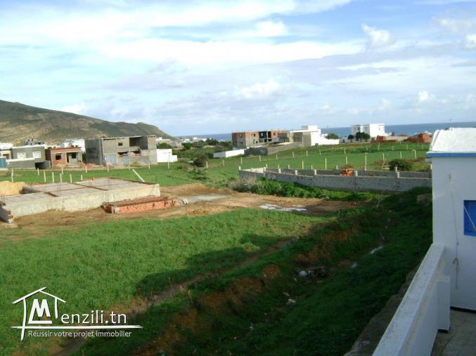 Profitez un lot du terrain à El Haouaria 800 m de la plage.