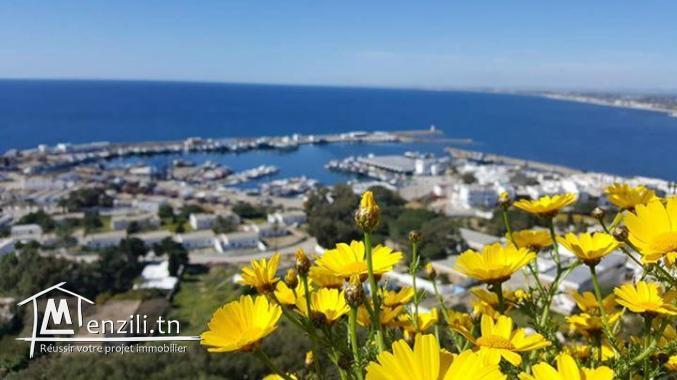 un terrain vue de nature à kélibia