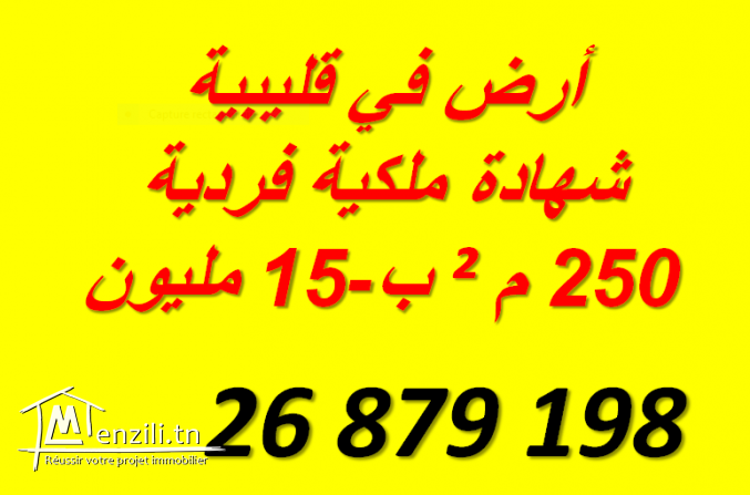 à vendre la derniére lot de 15 millons à kélibia