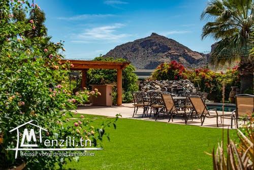 un terrain à kélibia à bas prix