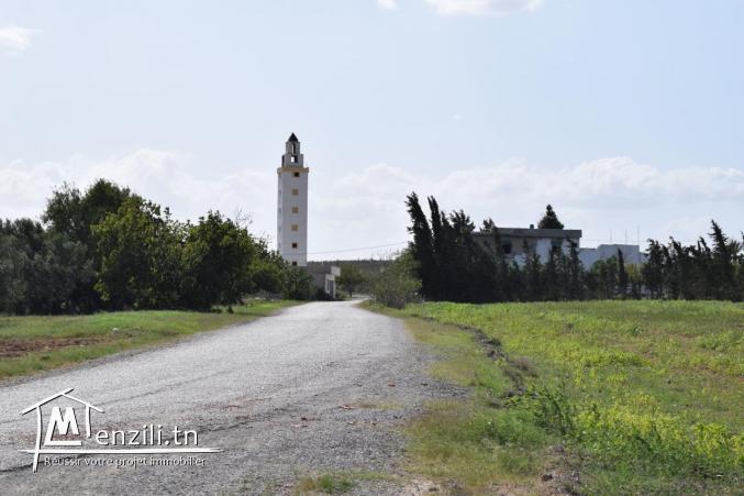 Un Terrain 5 km du yasmine El Hammamet  avec facilité du paiement