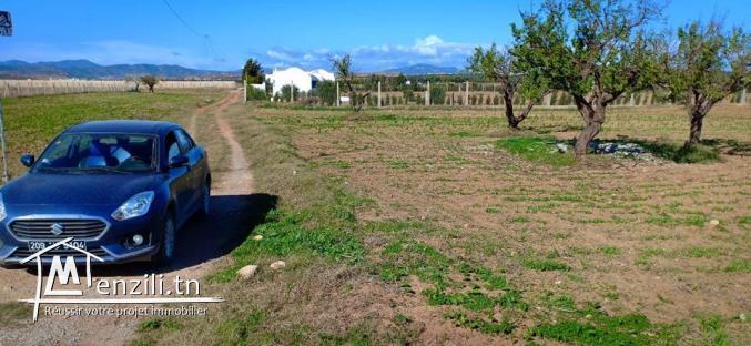 Un Terrain 5 km du yasmine El Hammamet  avec facilité du paiement