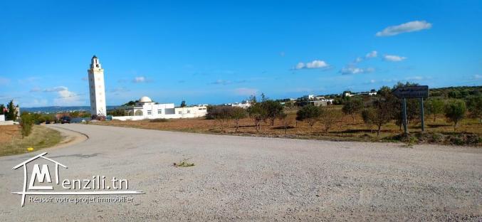 Un Terrain 5 km du yasmine El Hammamet  avec facilité du paiement