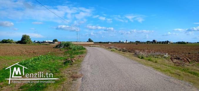 Terrain à kelibia à partir de 22 MD ! Info_ligne : 28 910 815