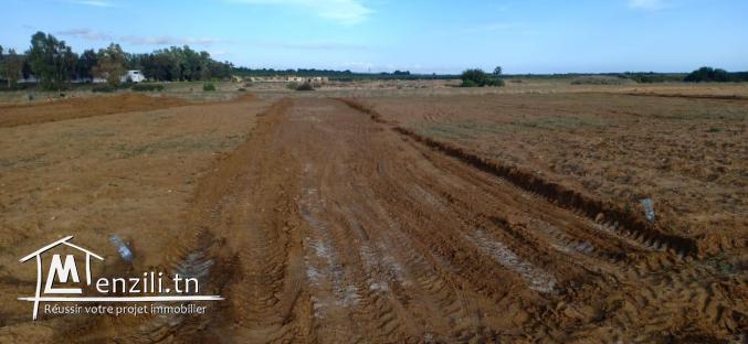 Terrain à kelibia à partir de 22 MD ! Info_ligne : 28 910 815