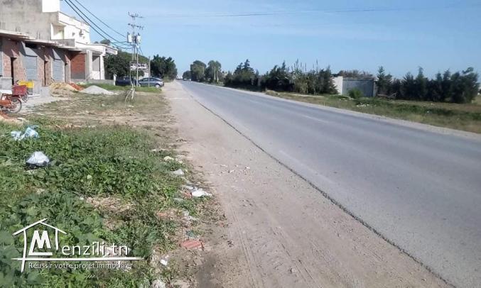 un terrain commerciale à kélibia 26 879 198