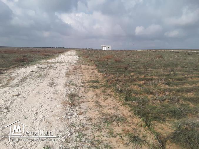 فرصة إستثمارأرض بشهادة ملكية ب 15مليون أكهو