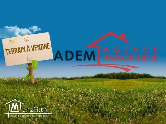 terrain bien situé à hamem sousse
