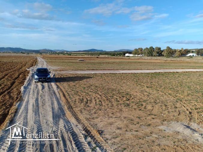 terrain 5km à yasmin elhamamet