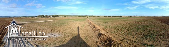 terrain 5km à yasmin elhamamet