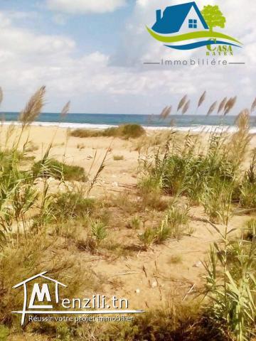 terrain pieds dans l'eau à haouaria