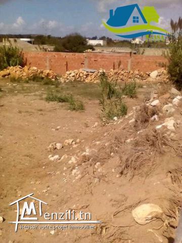 terrain pieds dans l'eau à haouaria