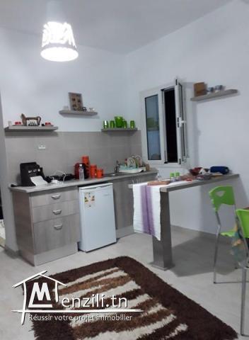 apprt s+1 meuble a khzema