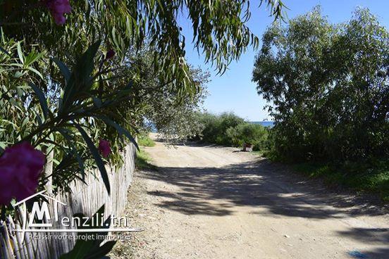 terrain à kerkouane 700 m de la plage