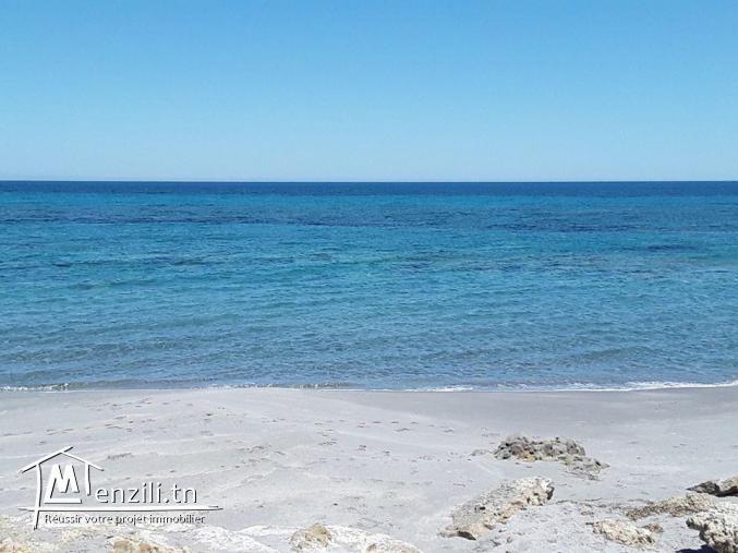 terrain à kerkouane 700 m de la plage
