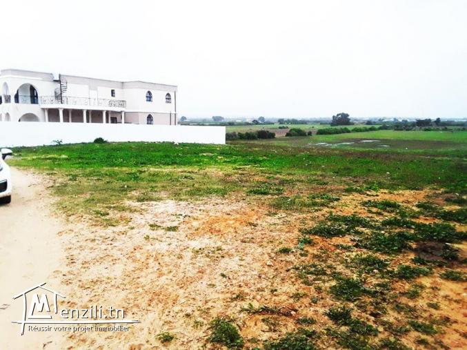 terrain à kerkouane 700 m de la plage