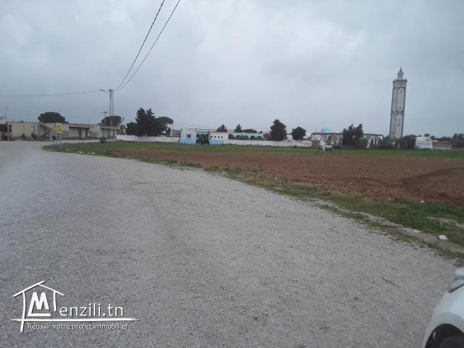 terrain à kerkouane 700 m de la plage