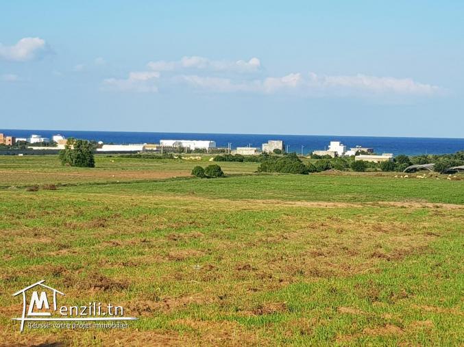 Terrain vue sur mer à kélibia kerkouane