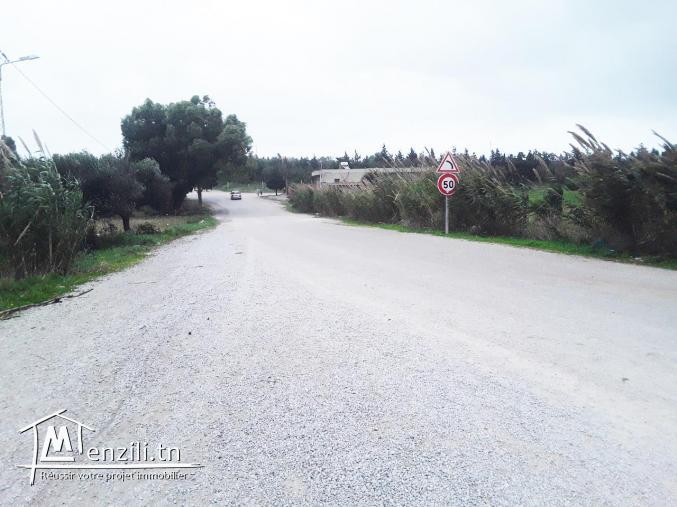 un terrain constructible vue sur mer à kélibia