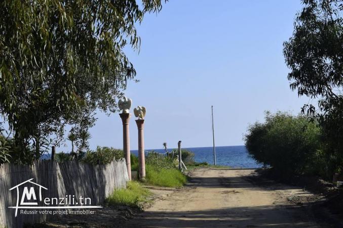 un terrain constructible vue sur mer à kélibia