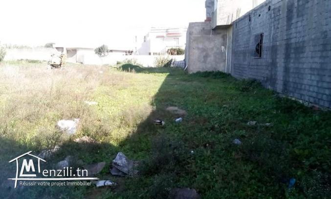 Un terrain constructible à Kélibia à bas prix