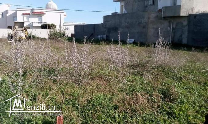 Un terrain constructible à Kélibia à bas prix