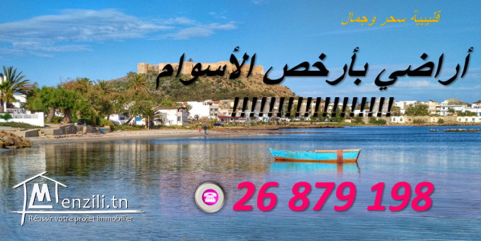 Un Terrain à Kélibia au meilleur prix