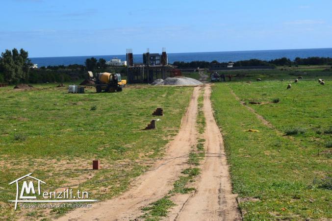Terrain prés de la plage avec un titre bleu individuel