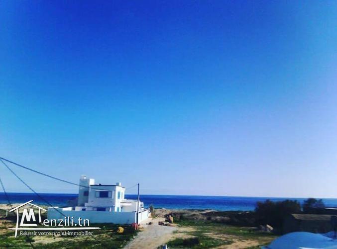 Terrain pied dans l'eau à kélibia ain grinz