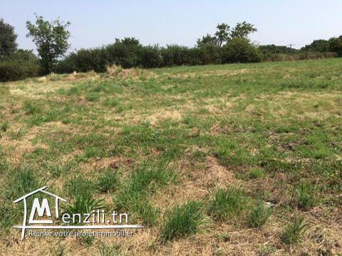 terrain de 1700 m2