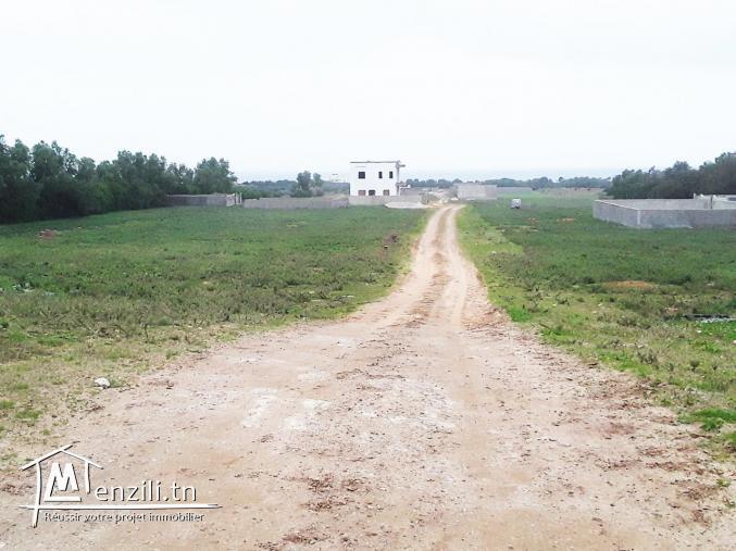 Terrain vue sur mer à kélibia kerkouane