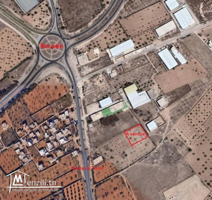 قطعة أرض تبعد حوالي 200م عن المركب التجاري الضخم