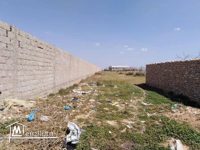 قطعة أرض تبعد حوالي 200م عن المركب التجاري الضخم