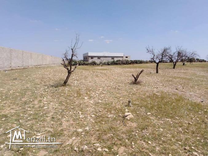 قطعة أرض تبعد حوالي 200م عن المركب التجاري الضخم