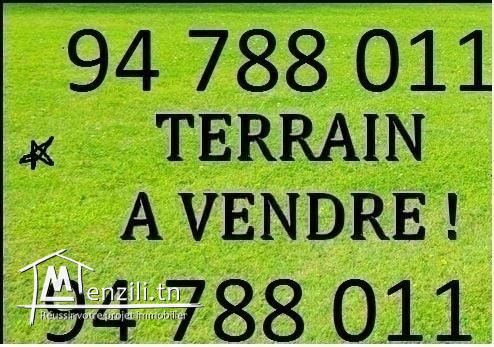 Terrain d'une superficie de 721 M2 situé dans un lotissement à Chott meriem.