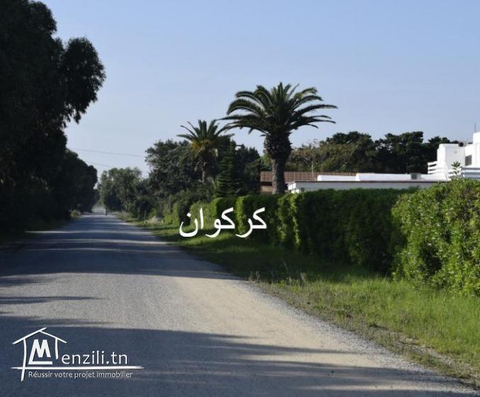 Terrain à  kerkouane plage