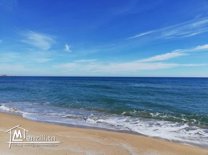 Terrain à  haouaria plage